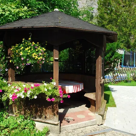 Bon Wab Apartment Hallstatt