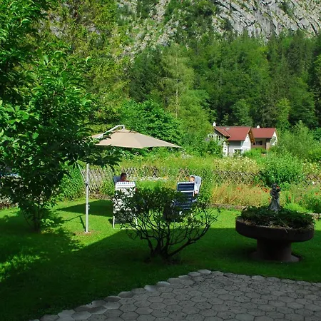 Bon Wab * Hallstatt